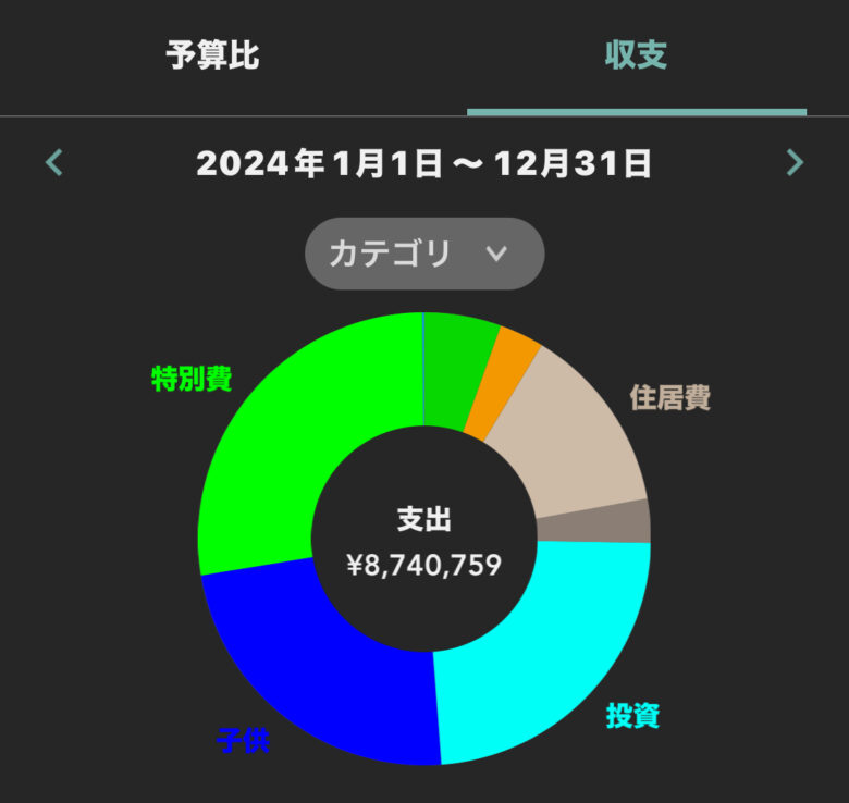 2024年1～9月の年間支出